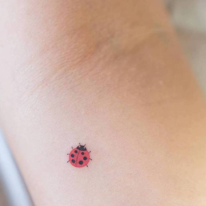 божья коровка тату мини