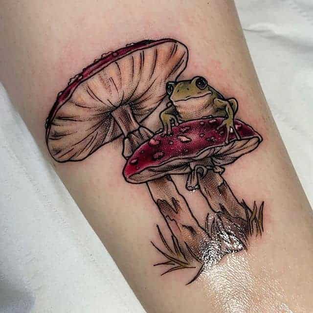 тату жаба и гриб