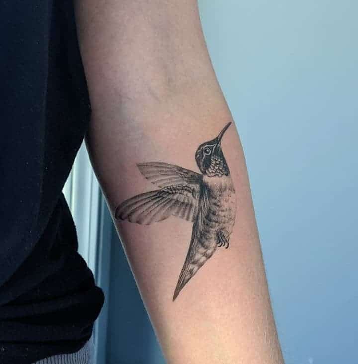 колибри тату на руке