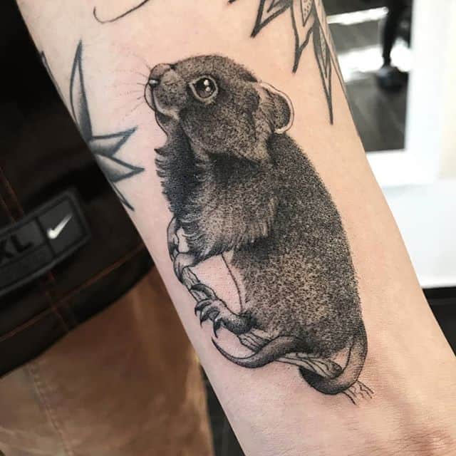 мышь тату чб