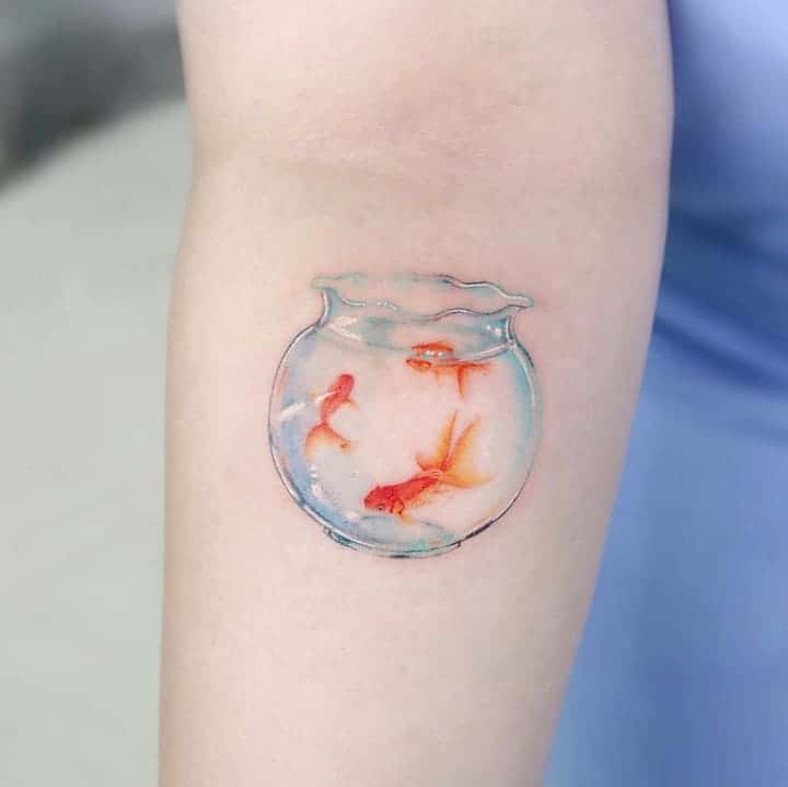 тату аквариум