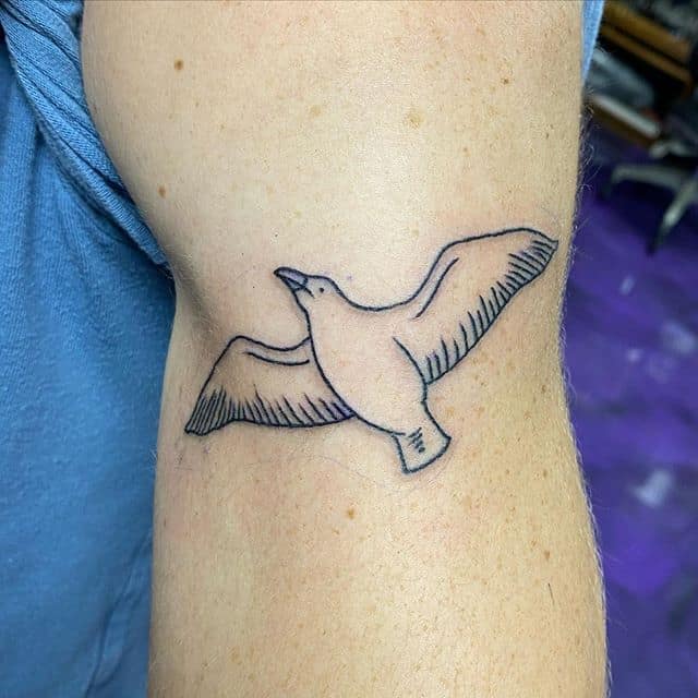 тату чайка на руке