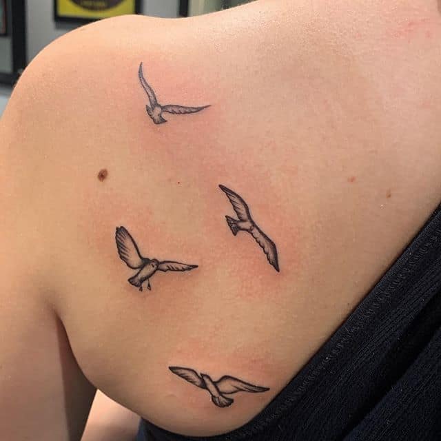 тату чайка на плече
