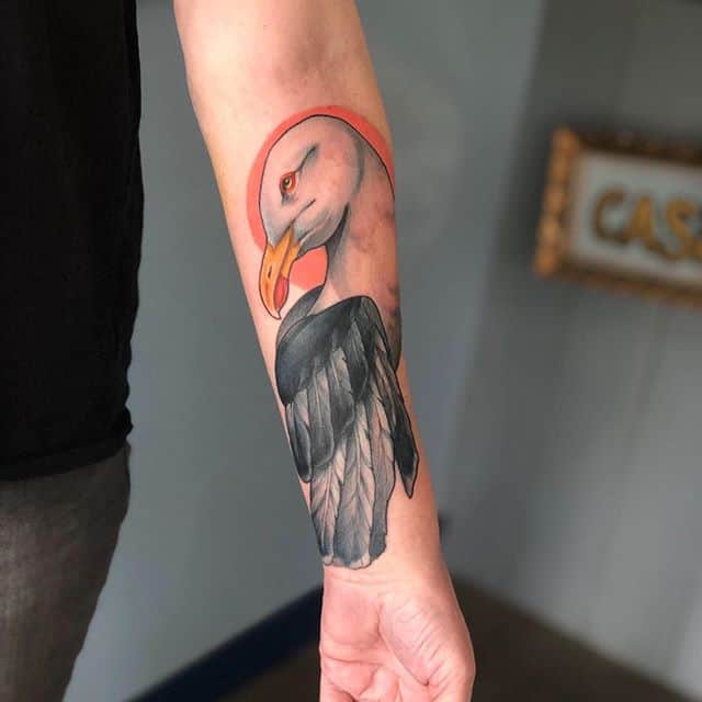 Татуировка альбатрос