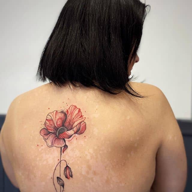 тату мак на спине