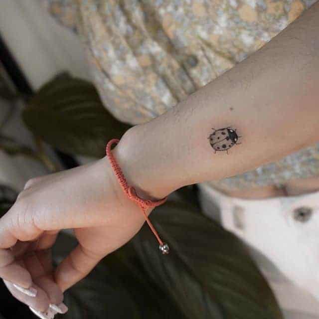 тату божья коровка