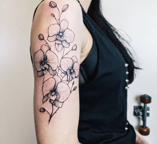 орхидея тату чб