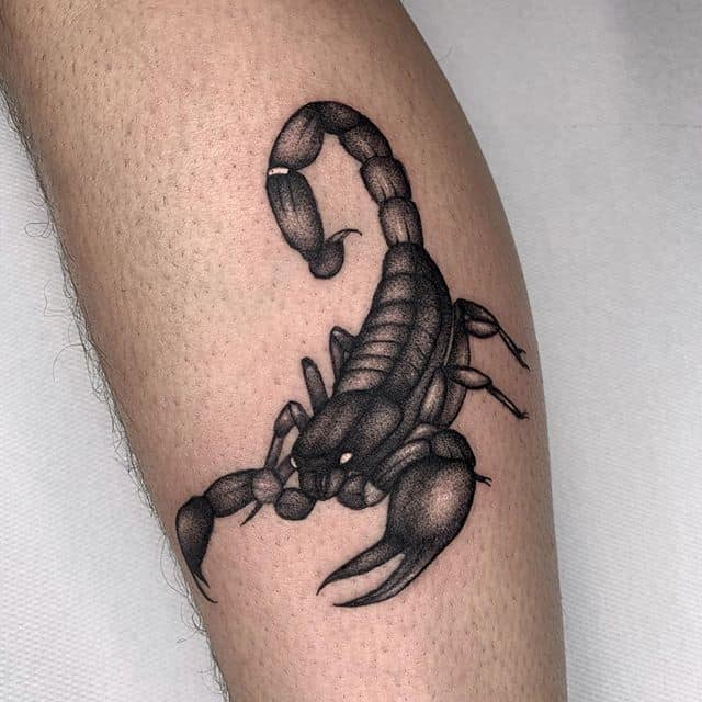 тату скорпион чб