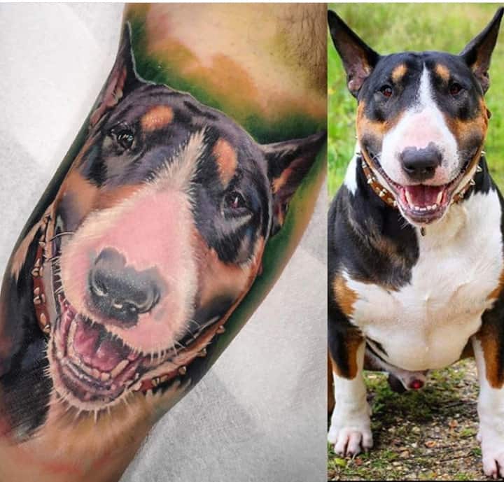 тату бультерьер с фото