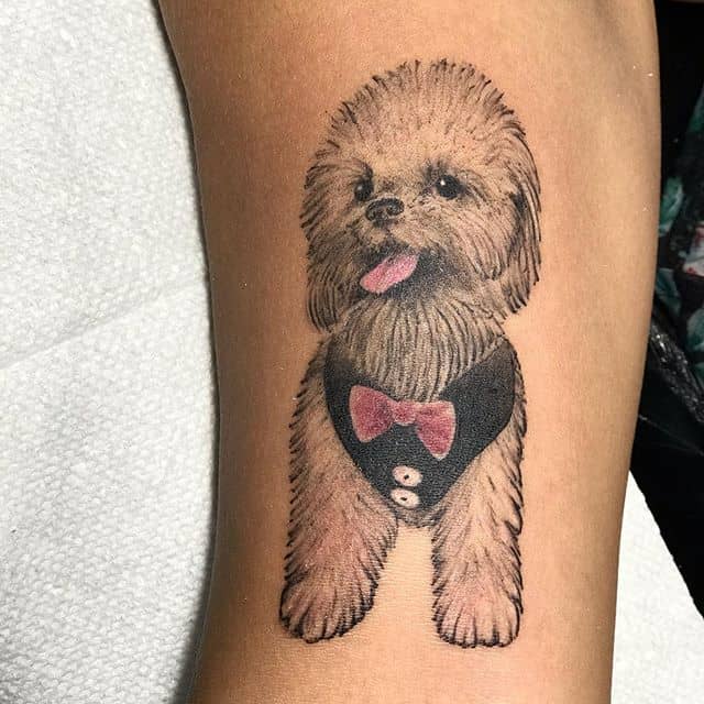 Тату пудель