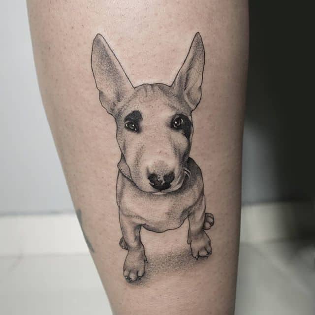 Тату бультерьер