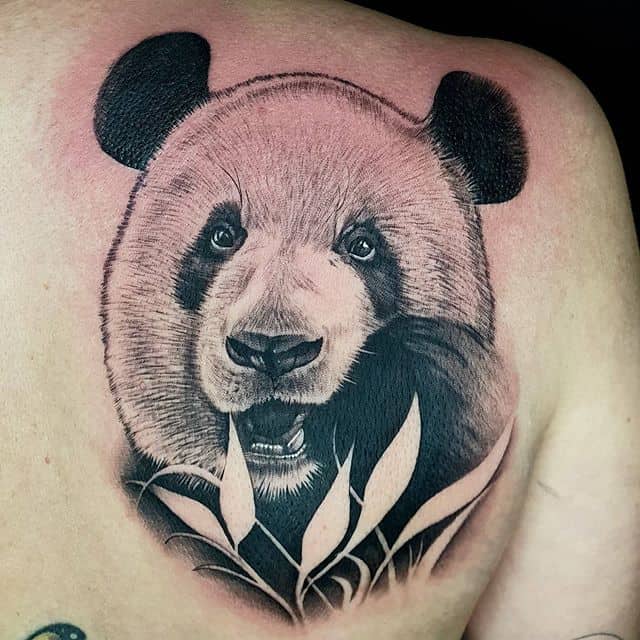 Морда панды тату