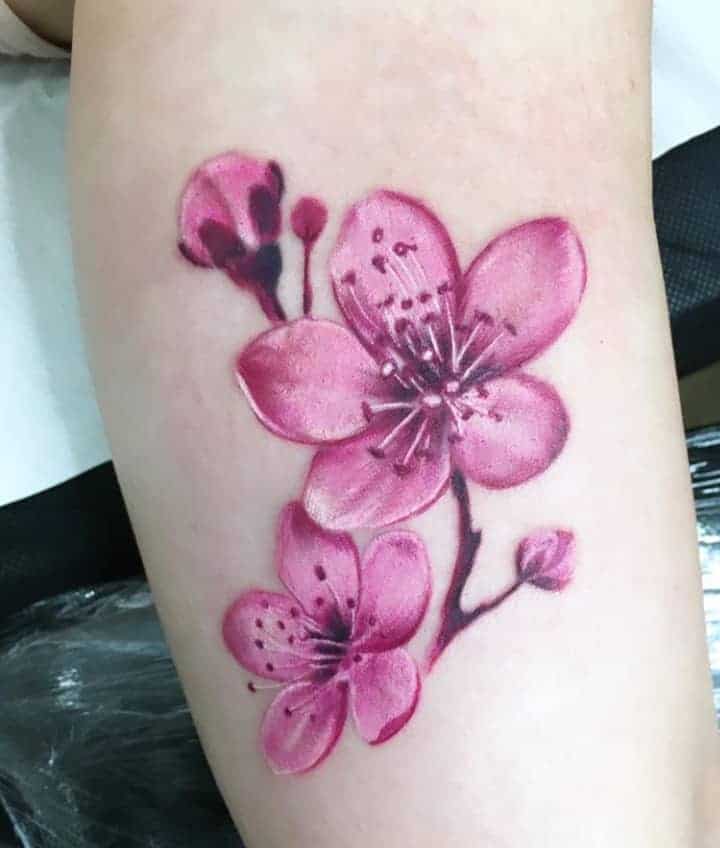 сакура цветы тату