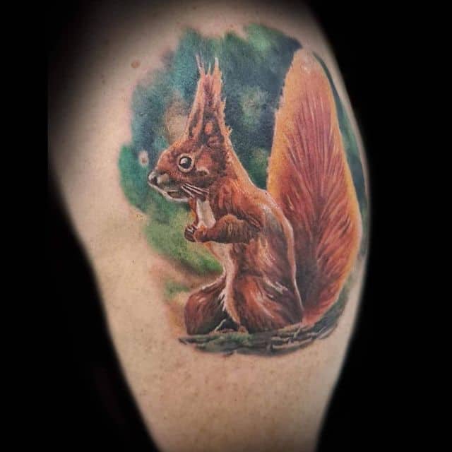 тату белка цветная