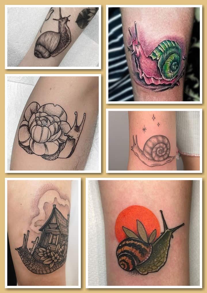 тату улитка