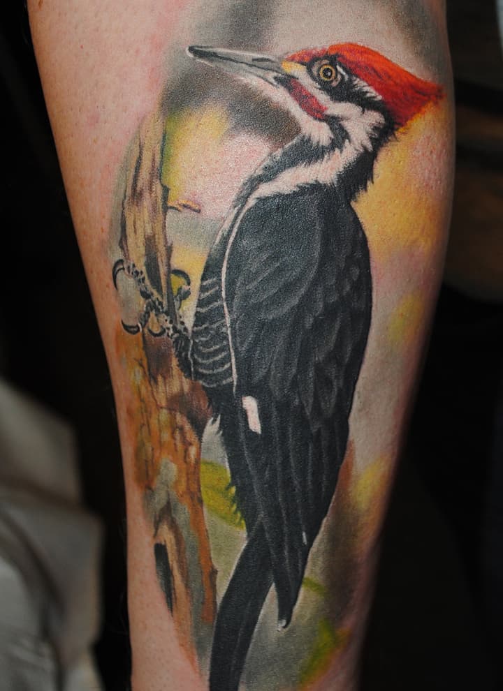 тату дятел реализм