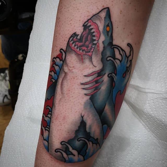 тату традишнл акула