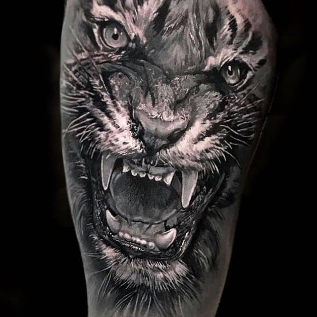 тату реализм тигр