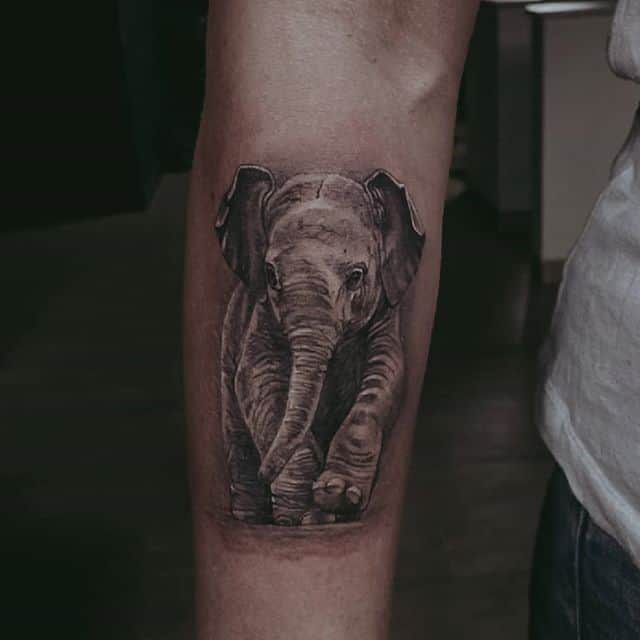 тату реализм слон