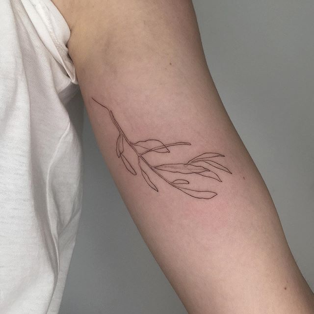 тату в одну линию ветка