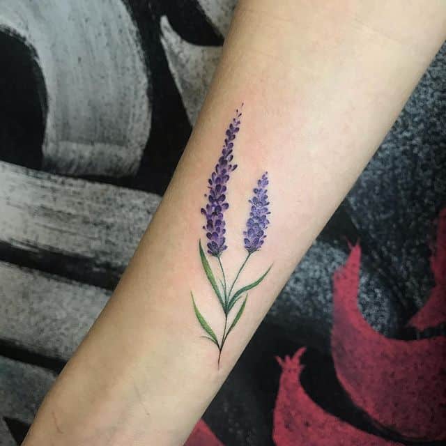 лаванда тату цвет