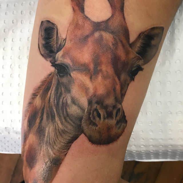 жираф тату реал