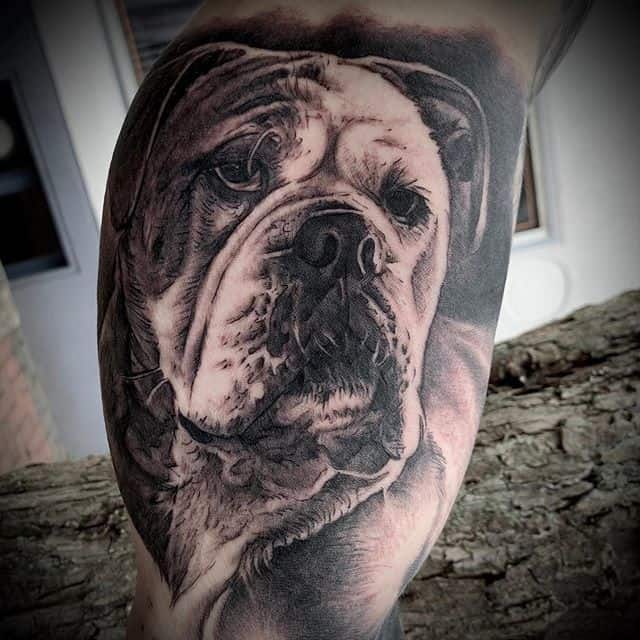 тату бульдог чб