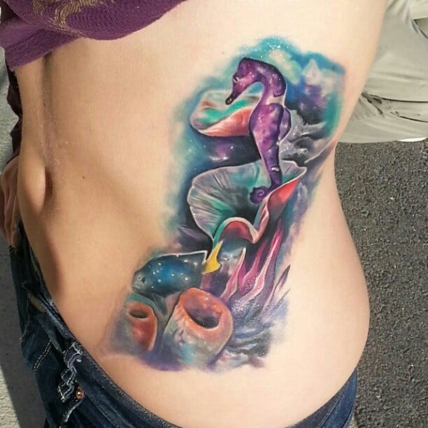 морской конек и рыба тату