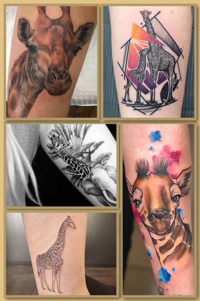 жираф тату