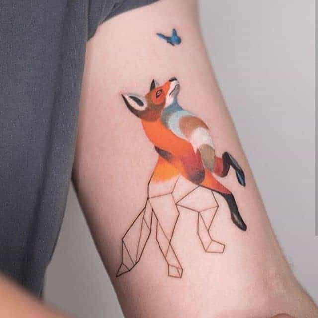 геометрия лис