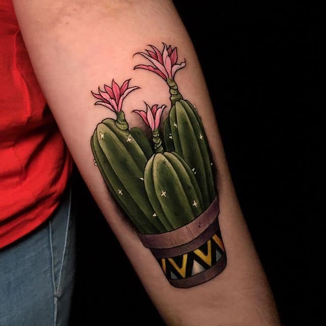 тату кактус