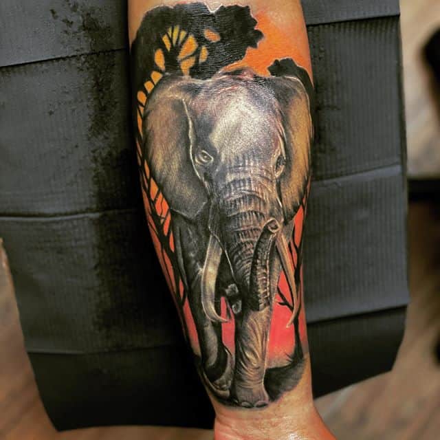 слон цветной тату