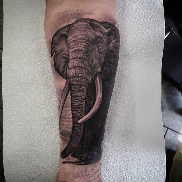 слон тату реализм