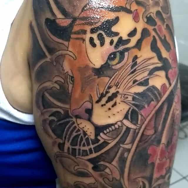 тигр ориентал