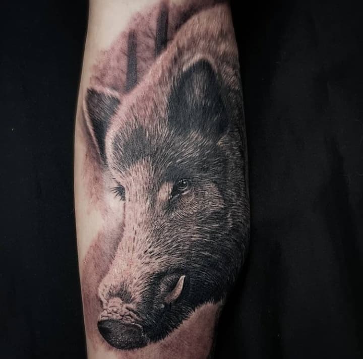 кабан тату реализм