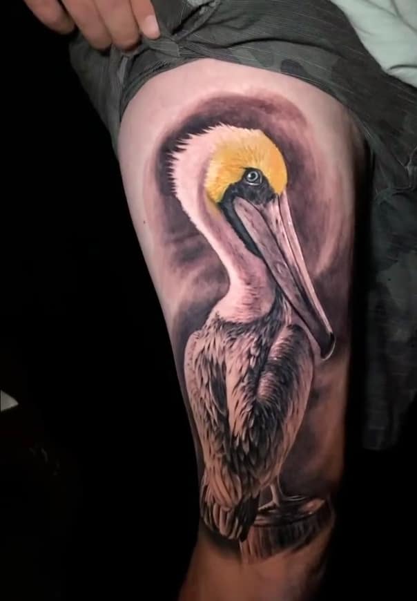 пеликан тату реализм