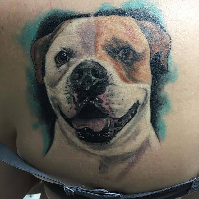 тату стаффордширского терьера