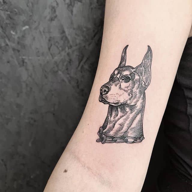 тату доберман графика