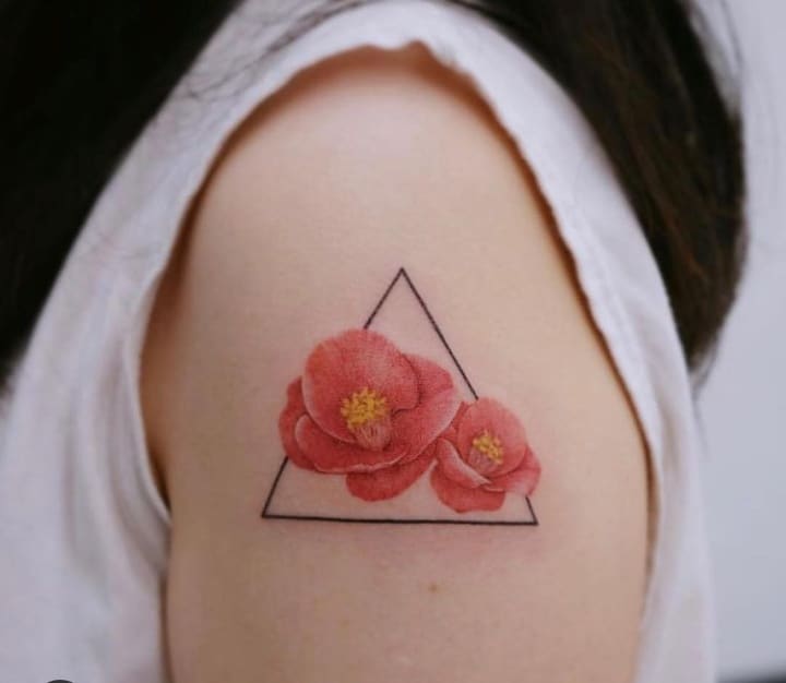 коллаж камелия треугольник