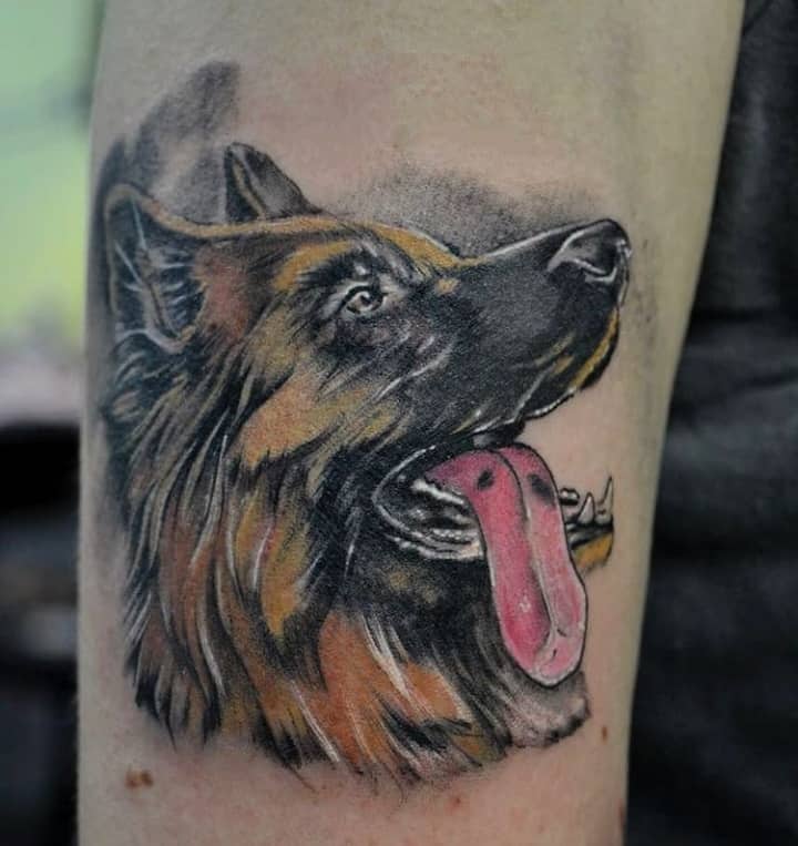 тату немецкая овчарка язык