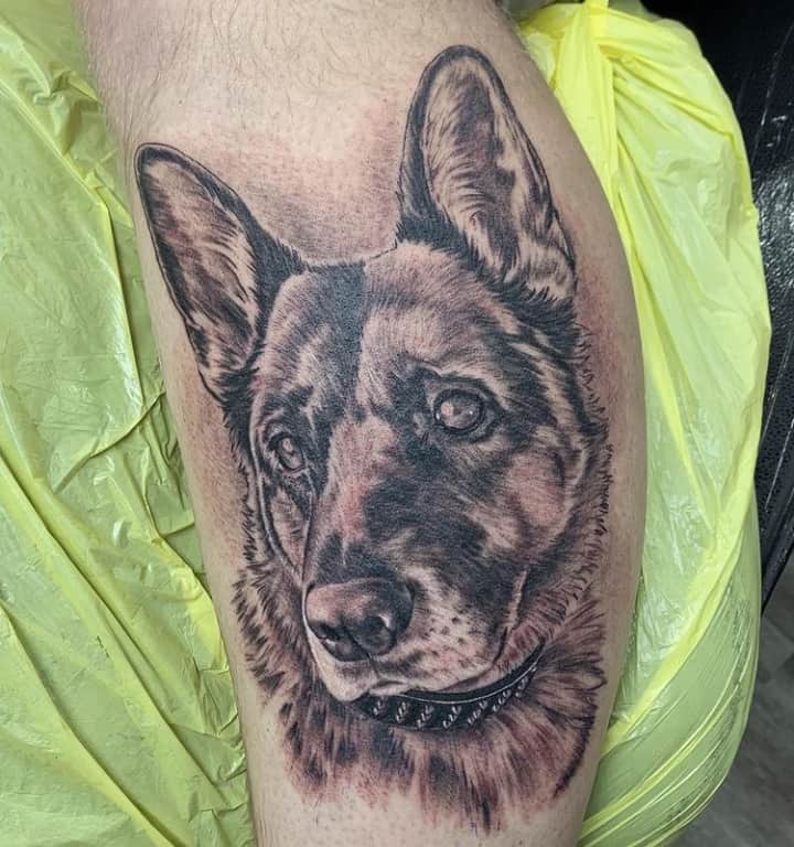 тату немецкая овчарка собака