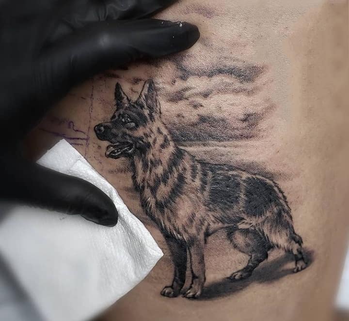 тату овчарка