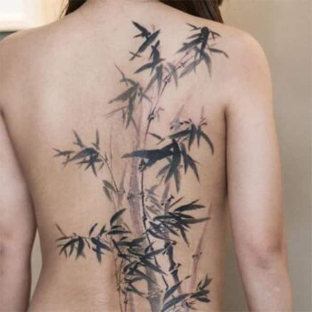 Тату бамбук на спине