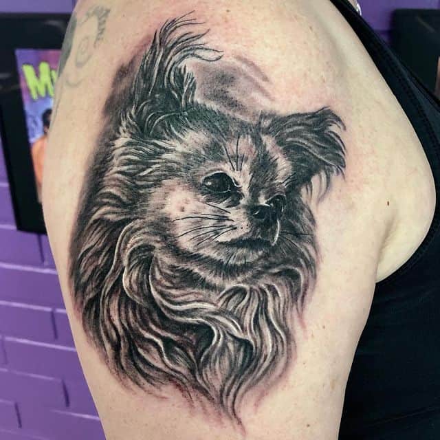 тату чихуахуа на плече