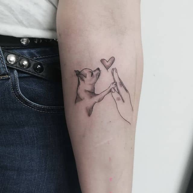 тату чихуахуа на руке