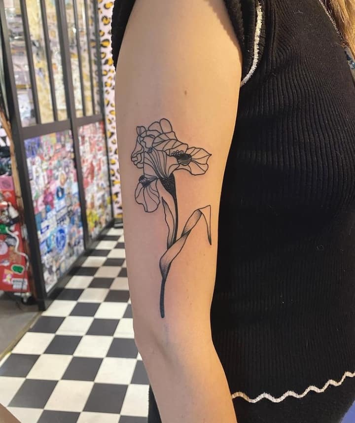 ирис тату чб