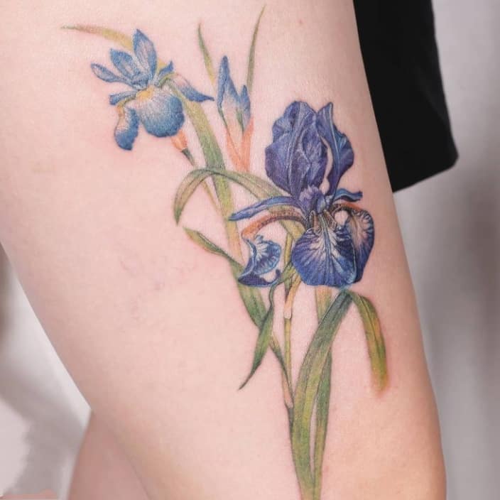ирис тату цветное