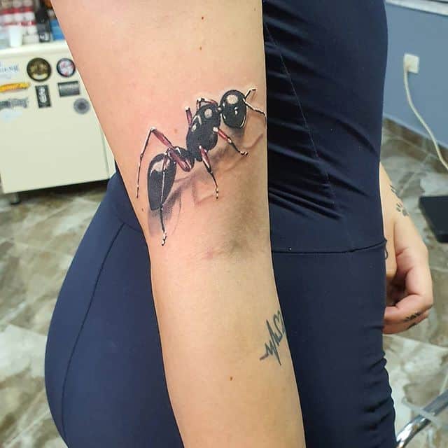 тату муравей реализм
