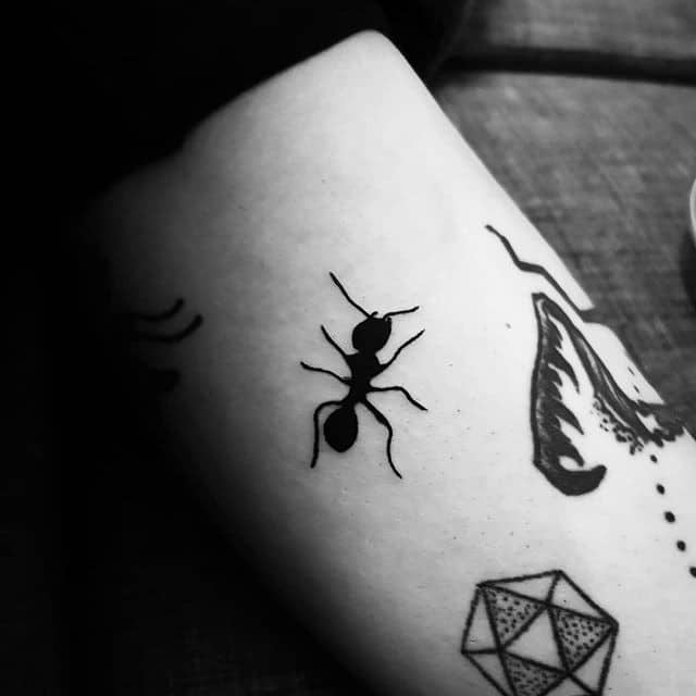 тату муравей на руке