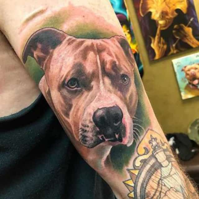 тату стафф пес